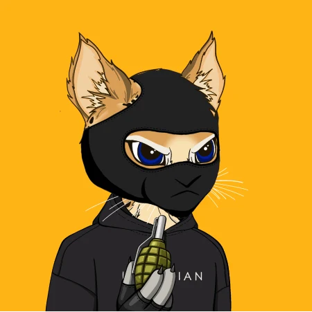 Ninja Cat Cute Black Cat NFT #6 - Crypto Ninjas Nft